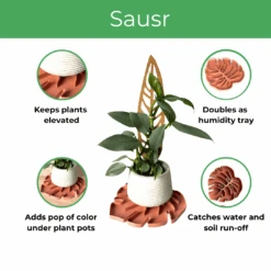Tera SAUSR – Monstera Leaf Plant Saucer & Humidity Tray For Root Rot Prevention -Eds Plant Shop tera sausr leaf shaped pot saucer drip tray for houseplants humidity tray 814411