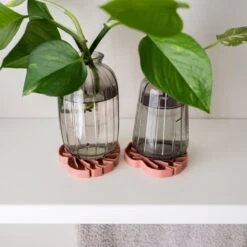 Tera SAUSR – Monstera Leaf Plant Saucer & Humidity Tray For Root Rot Prevention -Eds Plant Shop tera sausr leaf shaped pot saucer drip tray for houseplants humidity tray 929411