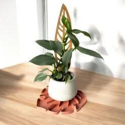Tera SAUSR – Monstera Leaf Plant Saucer & Humidity Tray For Root Rot Prevention -Eds Plant Shop tera sausr leaf shaped pot saucer drip tray for houseplants humidity tray 958188