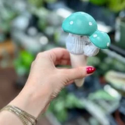 Terra Cotta Mushroom Self-Watering Spikes 16 Terra Cotta Mushroom Self-Watering Spikes -Eds Plant Shop terra cotta mushroom self watering spikes 552300