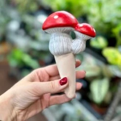 Terra Cotta Mushroom Self-Watering Spikes 14 Terra Cotta Mushroom Self-Watering Spikes -Eds Plant Shop terra cotta mushroom self watering spikes 616421