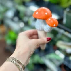 Terra Cotta Mushroom Self-Watering Spikes 17 Terra Cotta Mushroom Self-Watering Spikes -Eds Plant Shop terra cotta mushroom self watering spikes 816957