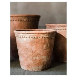 Terracotta & Concrete Planter Pot -Eds Plant Shop terracotta concrete planter pot 191944