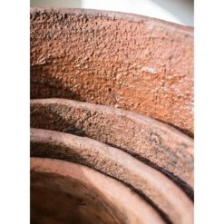 Terracotta & Concrete Planter Pot -Eds Plant Shop terracotta concrete planter pot 289561