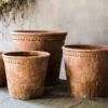 Terracotta & Concrete Planter Pot 2 Terracotta & Concrete Planter Pot -Eds Plant Shop terracotta concrete planter pot 578943