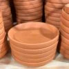 Premium German-Made Terracotta Saucers – Multiple Sizes For Every Pot -Eds Plant Shop terracotta saucer various sizes available 954515