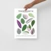 Tradescantia Species ID Chart - Botanical Houseplant Art Print 1 Tradescantia Species ID Chart - Botanical Houseplant Art Print -Eds Plant Shop tradescantia species id chart botanical houseplant art print 693372