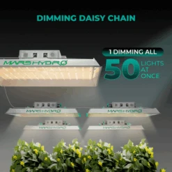 TS1000 LED Grow Light | Full Spectrum, Energy Efficient, Beginner-Friendly -Eds Plant Shop ts1000 led grow light full spectrum energy efficient beginner friendly 422619