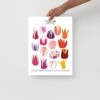 Tulip Species ID Chart - Botanical Floral Art Print -Eds Plant Shop tulip species id chart botanical floral art print 195941