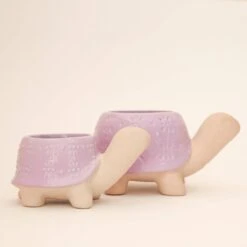 Turtle Ceramic Planter -Eds Plant Shop turtle ceramic planter 140374