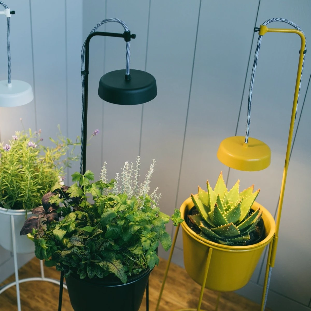 Uplift Planter By Modern Sprout 8 Uplift Planter By Modern Sprout - Image 6