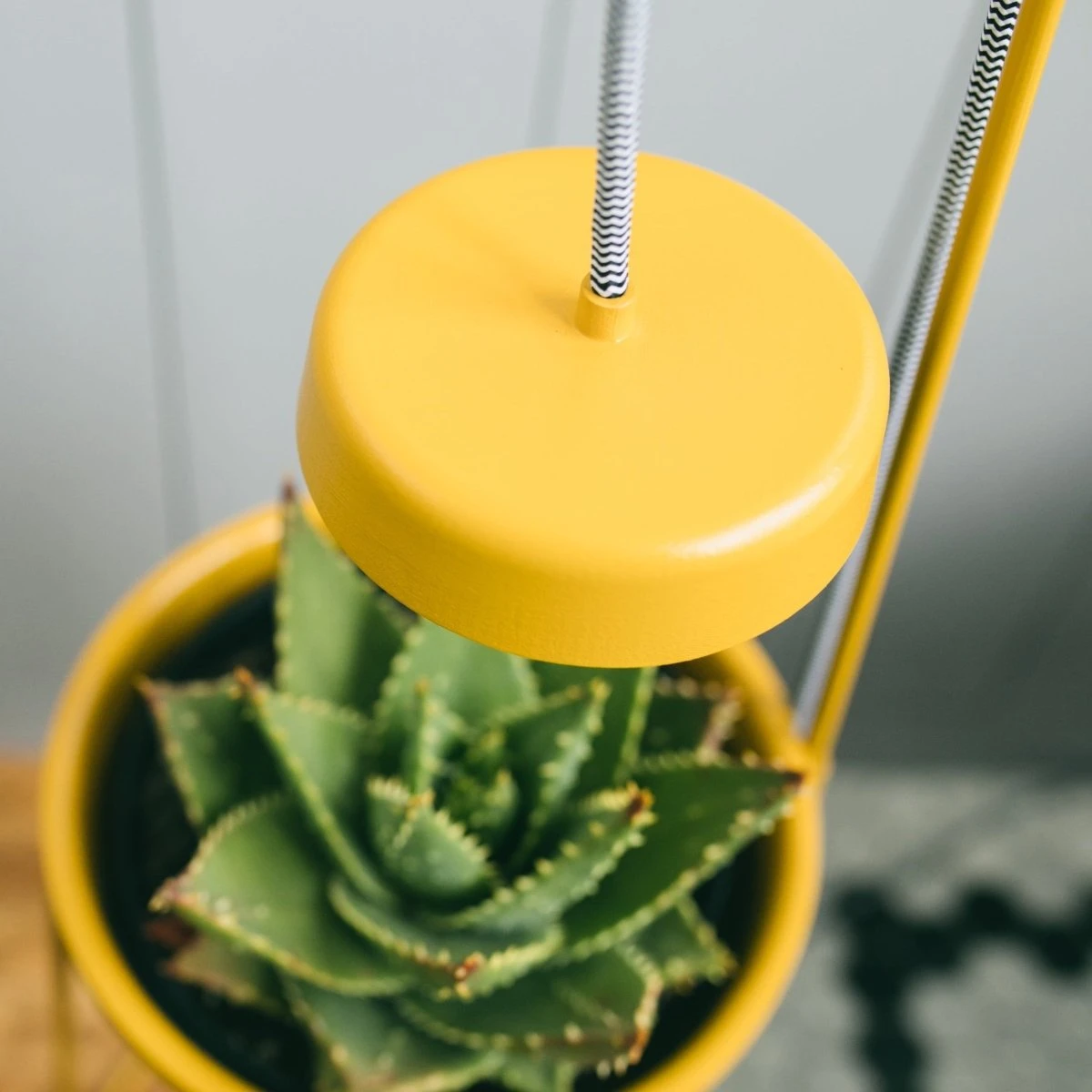 Uplift Planter By Modern Sprout 9 Uplift Planter By Modern Sprout - Image 7