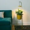 Uplift Planter By Modern Sprout 2 Uplift Planter By Modern Sprout -Eds Plant Shop uplift planter by modern sprout 816132