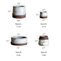 Vintage Restoration Planter Collection -Eds Plant Shop vintage restoration planter collection 260014