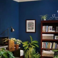 Vita™ LED Grow Light Bulb- Dimmable -Eds Plant Shop vita led grow light bulb dimmable 996972