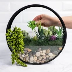Wall Terrarium Kit | DIY Wall Art With Faux Succulents -Eds Plant Shop wall terrarium kit diy wall art with faux succulents 152199