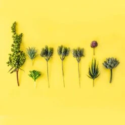 Wall Terrarium Kit | DIY Wall Art With Faux Succulents -Eds Plant Shop wall terrarium kit diy wall art with faux succulents 448955