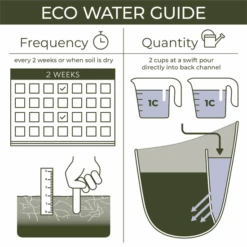 WallyGrow Eco Wall Planter – Charcoal Vertical Garden Planter -Eds Plant Shop wallygrow eco wall planter charcoal vertical garden planter 2123134