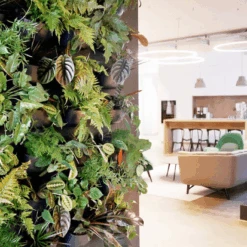 WallyGrow Eco Wall Planter – Charcoal Vertical Garden Planter -Eds Plant Shop wallygrow eco wall planter charcoal vertical garden planter 4706221