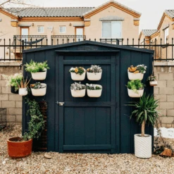 WallyGrow Eco Wall Planter – Oat Vertical Garden Planter For Modern Indoor Spaces -Eds Plant Shop wallygrow eco wall planter oat vertical garden planter for modern indoor spaces 926342