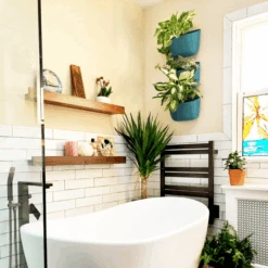 WallyGrow Eco Wall Planter – Teal Vertical Garden Planter For Indoor Walls -Eds Plant Shop wallygrow eco wall planter teal vertical garden planter for indoor walls 504938