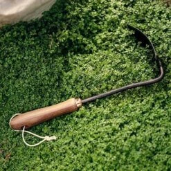 Barebones Walnut Square Weeding Hoe For Digging, Trenching & Root Removal -Eds Plant Shop walnut square weeding hoe 962715