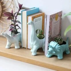 White Stegosaurus Dinosaur Planter Pot -Eds Plant Shop white stegosaurus dinosaur planter pot 7936775