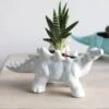 White Stegosaurus Dinosaur Planter Pot -Eds Plant Shop white stegosaurus dinosaur planter pot 8145245
