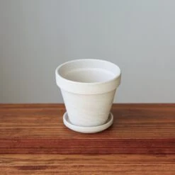 White Terracotta Planter Pot With Water Saucer -Eds Plant Shop white terracotta planter pot with water saucer various sizes 267628