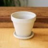 White Terracotta Planter Pot With Water Saucer 1 White Terracotta Planter Pot With Water Saucer -Eds Plant Shop white terracotta planter pot with water saucer various sizes 536432