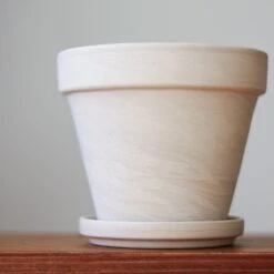 White Terracotta Planter Pot With Water Saucer -Eds Plant Shop white terracotta planter pot with water saucer various sizes 932641
