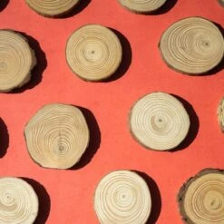 Winter Wood Slice Wreath Kit -Eds Plant Shop winter wood slice wreath kit 619700