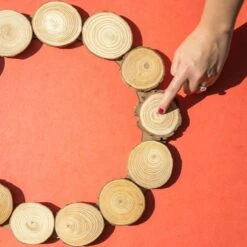 Winter Wood Slice Wreath Kit -Eds Plant Shop winter wood slice wreath kit 784574