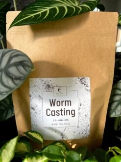 Premium Organic Worm Castings – Nutrient-Rich Soil Booster -Eds Plant Shop worm castings 199078