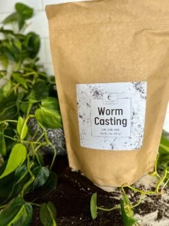 Premium Organic Worm Castings – Nutrient-Rich Soil Booster -Eds Plant Shop worm castings 919228