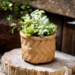 Woven Bamboo Styled Basket - Concrete - Various Sizes -Eds Plant Shop woven bamboo styled basket concrete various sizes 138081