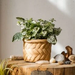 Woven Bamboo Styled Basket - Concrete - Various Sizes -Eds Plant Shop woven bamboo styled basket concrete various sizes 146027