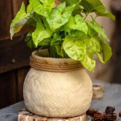 Woven Cement Planter With Rope Accent -Eds Plant Shop woven cement planter with rope accent 123550