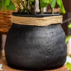 Woven Cement Planter With Rope Accent -Eds Plant Shop woven cement planter with rope accent 582520