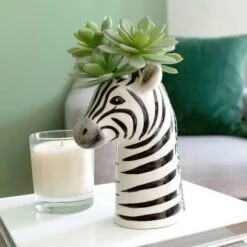 Zebra Vase -Eds Plant Shop zebra vase 9535034